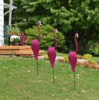 Flamingoz – dynamische vogel