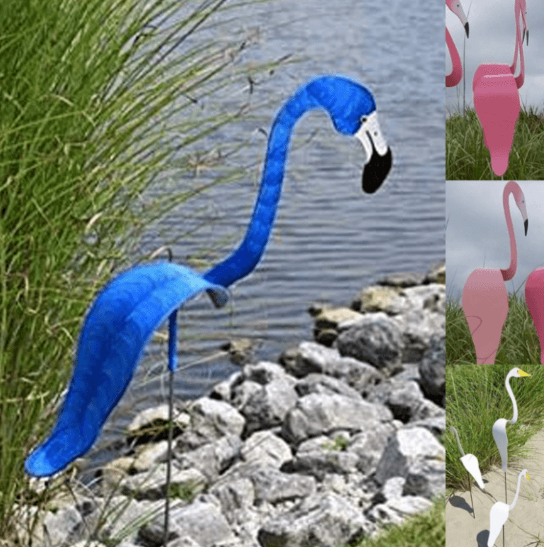 Flamingoz – dynamische vogel