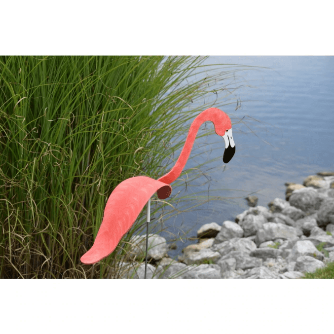 Flamingoz – dynamische vogel