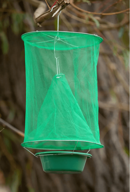 Opvouwbare vliegenval – materiaal: Ijzerdraad + Gaaselement +Plastic — afbeelding 11