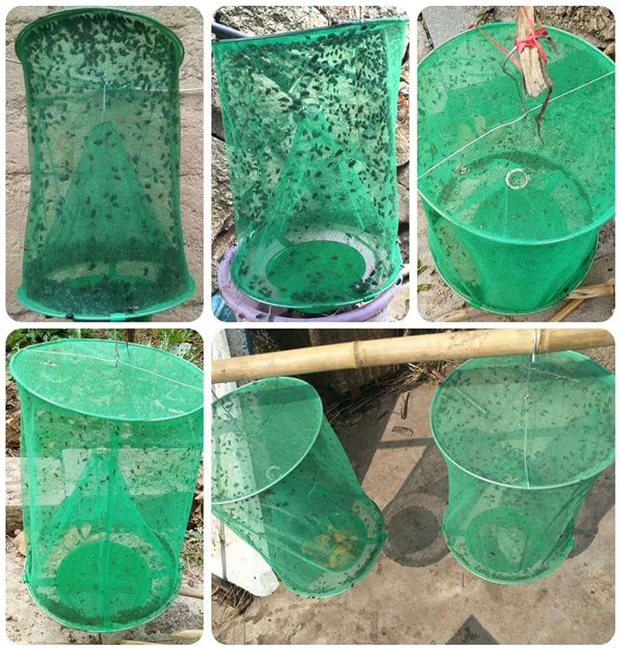 Opvouwbare vliegenval – materiaal: Ijzerdraad + Gaaselement +Plastic — afbeelding 9