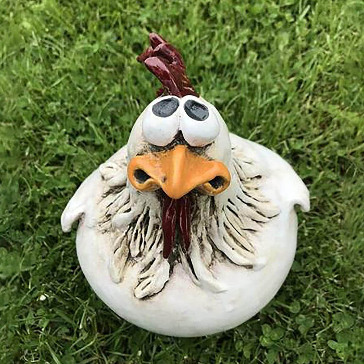 Big eye chicken – tuindecoratie