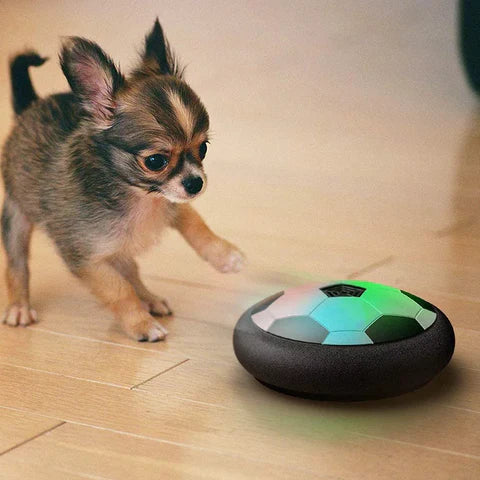 Interactief voetbalspeelgoed voor honden