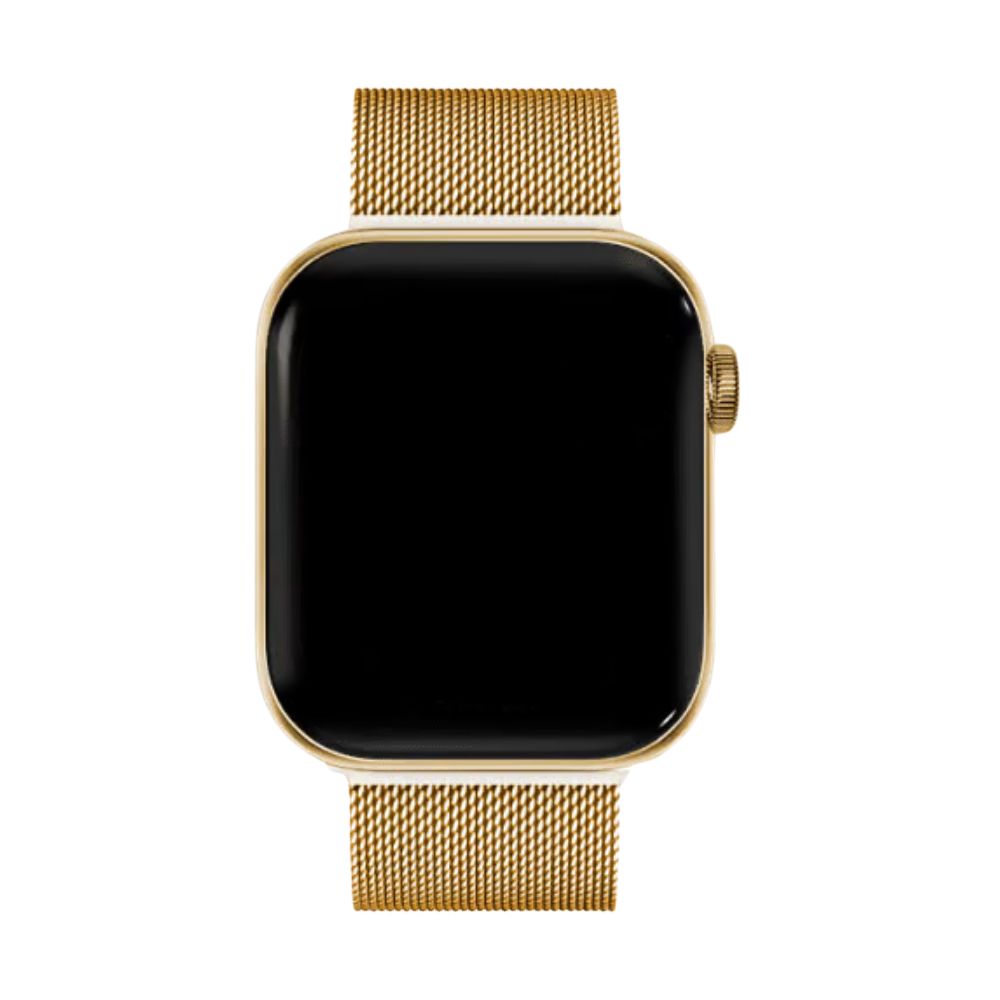 Milanese apple watch armband