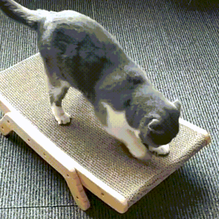 Dé 3-in-1 krabpaal en ligstoel voor katten