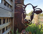 Metalen dierendecoratie Peek a Boo