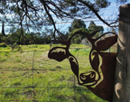 Metalen dierendecoratie Peek a Boo