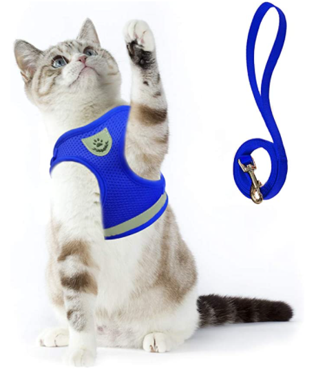 Kattentuigje met lijn — afbeelding 40