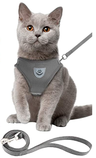 Kattentuigje met lijn