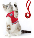 Kattentuigje met lijn