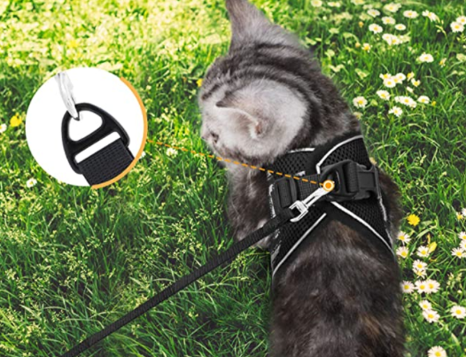 Kattentuigje met lijn