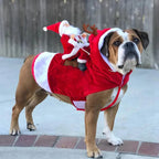 Kerstkostuum voor honden