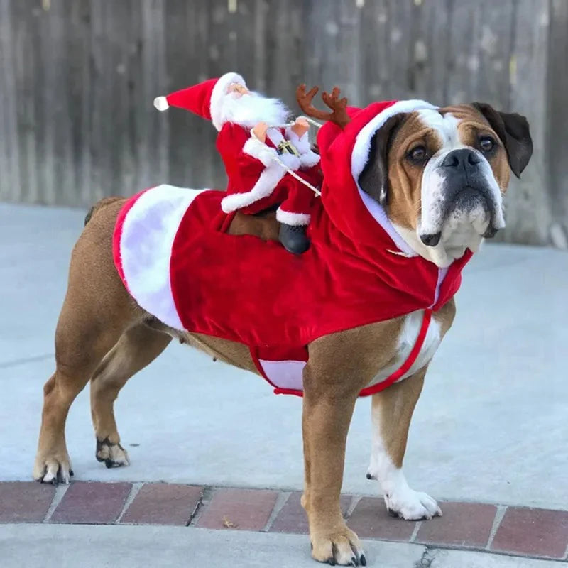 Kerstkostuum voor honden