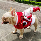 Kerstkostuum voor honden