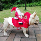 Kerstkostuum voor honden