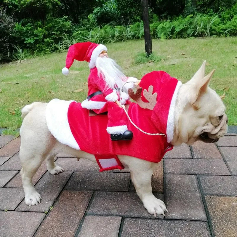 Kerstkostuum voor honden