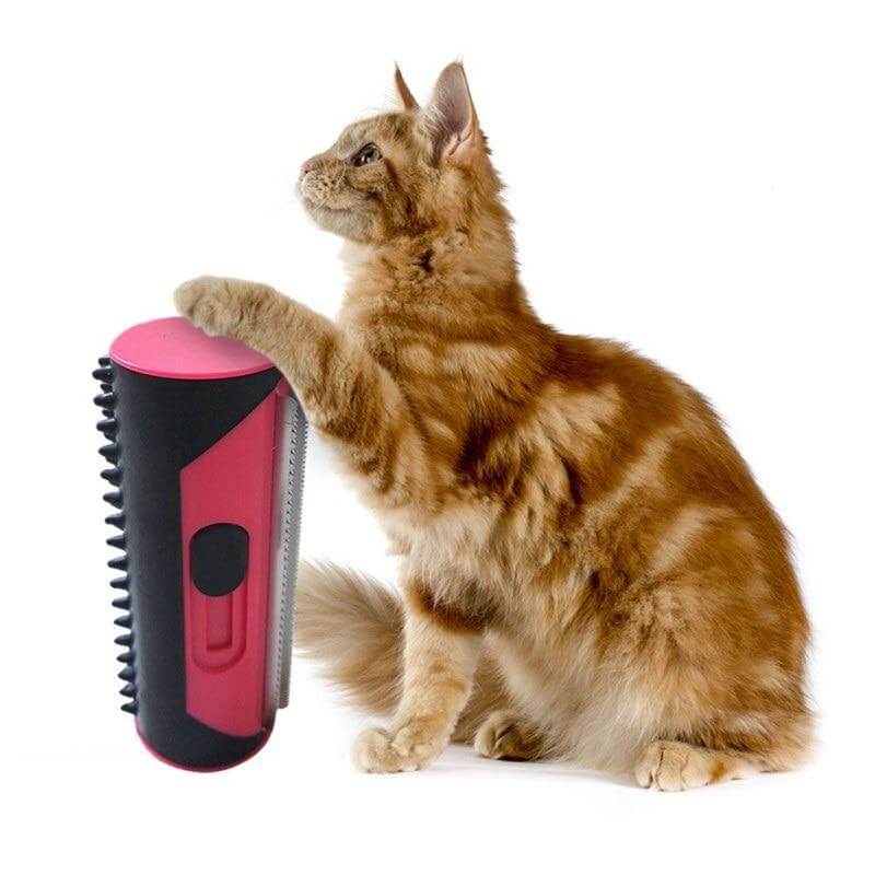 Petssy – ontharingstool voor huisdieren