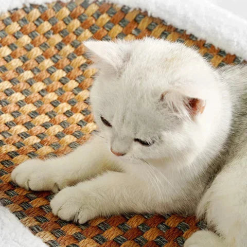 Krabbed voor katten