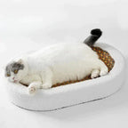 Krabbed voor katten — afbeelding 3