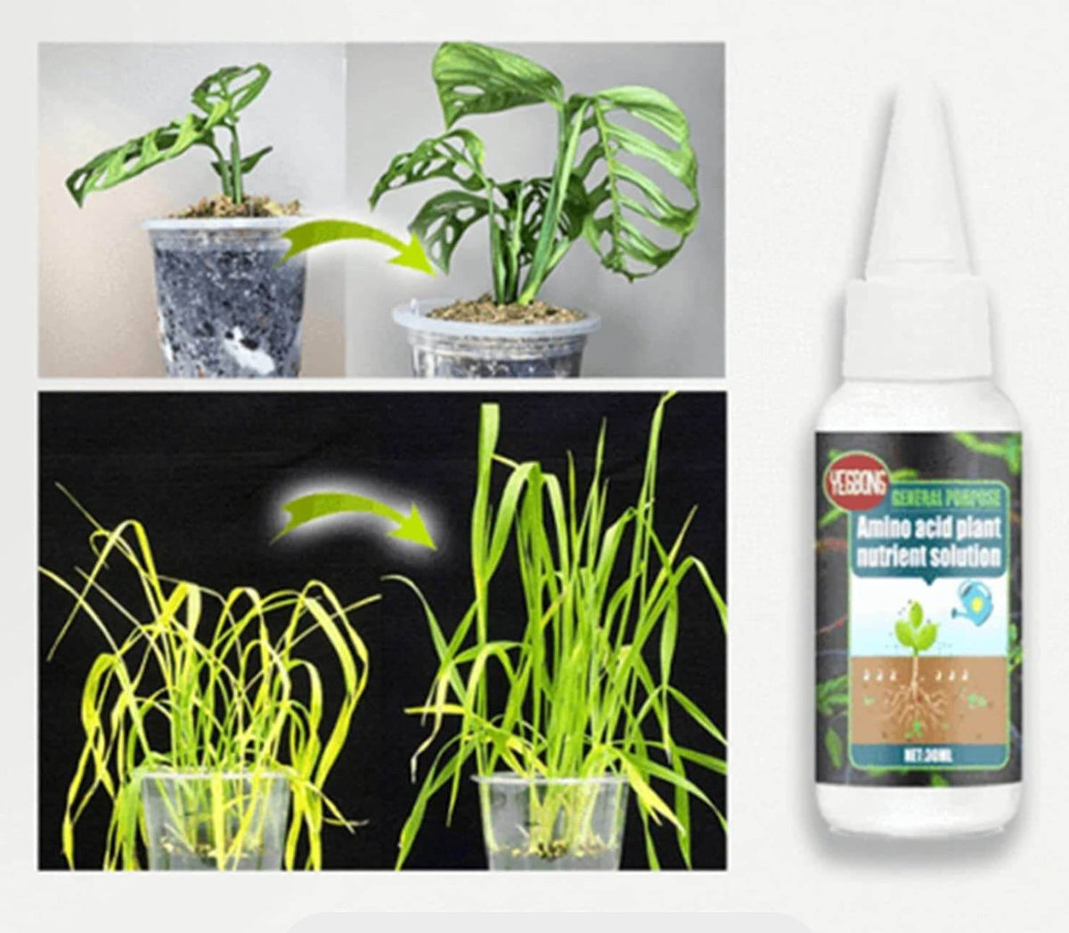 Plant voedingsstof oplossing – inhoud: 30ml