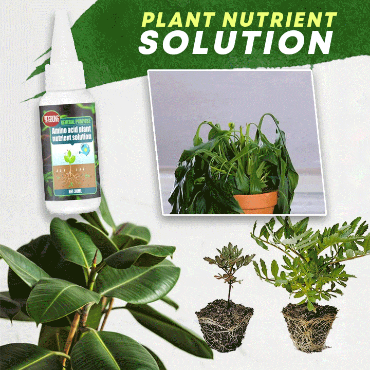 Plant voedingsstof oplossing – inhoud: 30ml