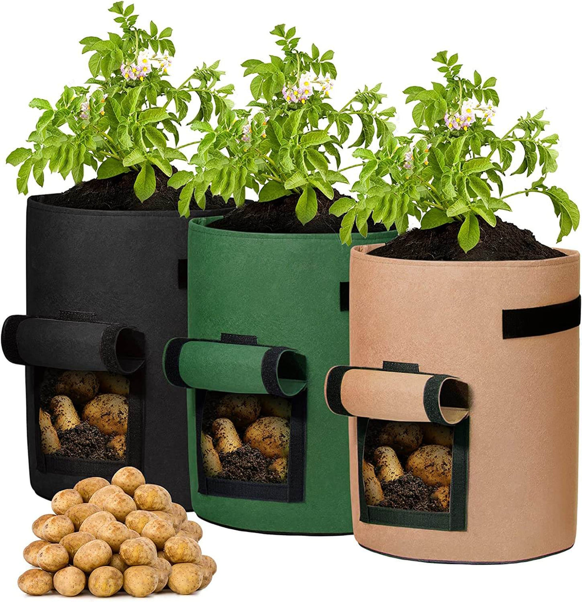 Kweekzak voor aardappelen
