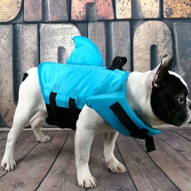 Honden zwemvest