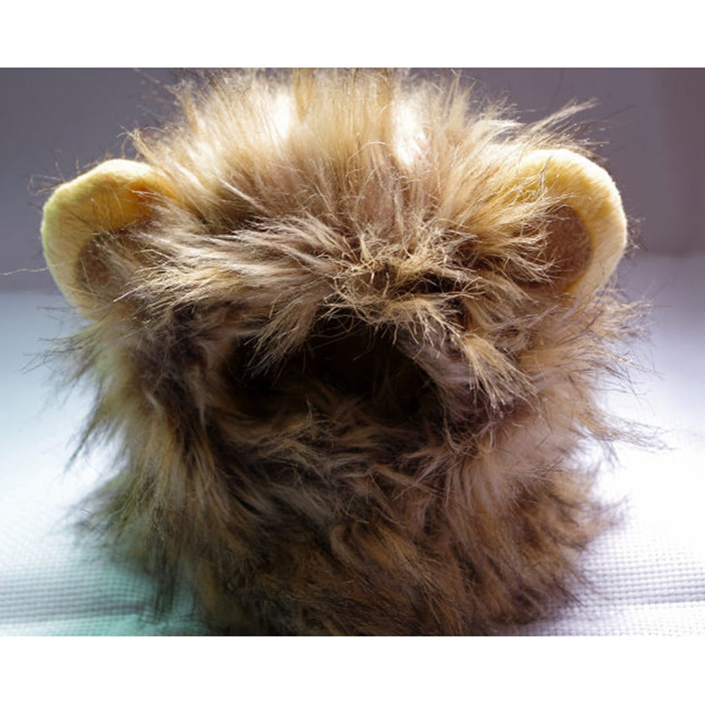 Leeuwenmanen voor je kat