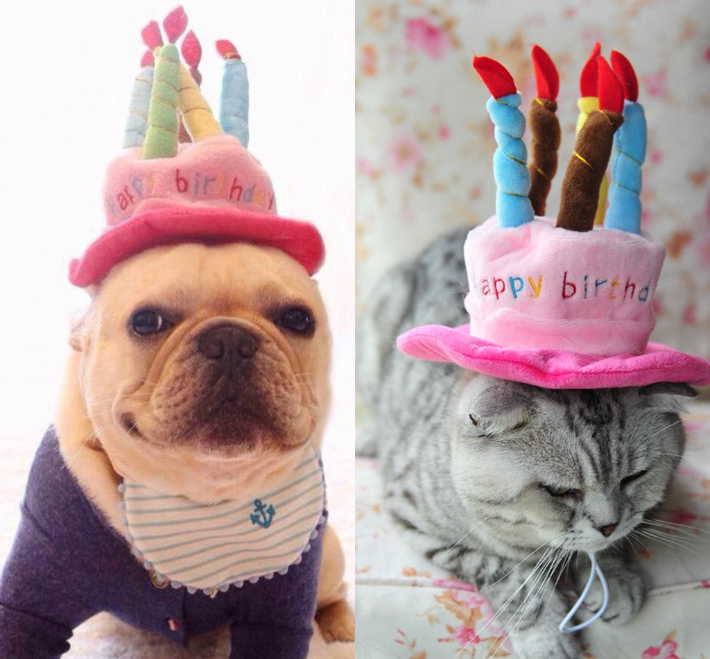 Verjaardagshoed voor honden en katten