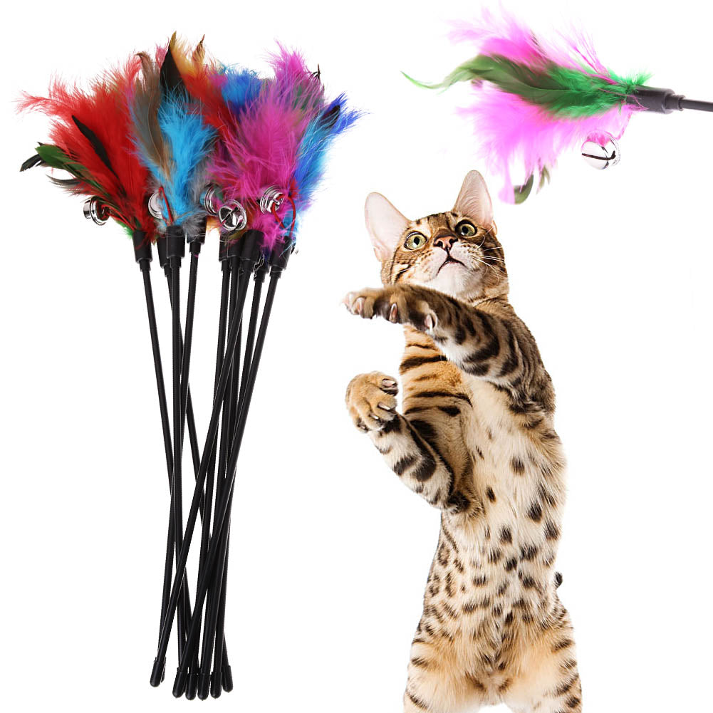 Kattenspeeltjes met veren (5 stuks)