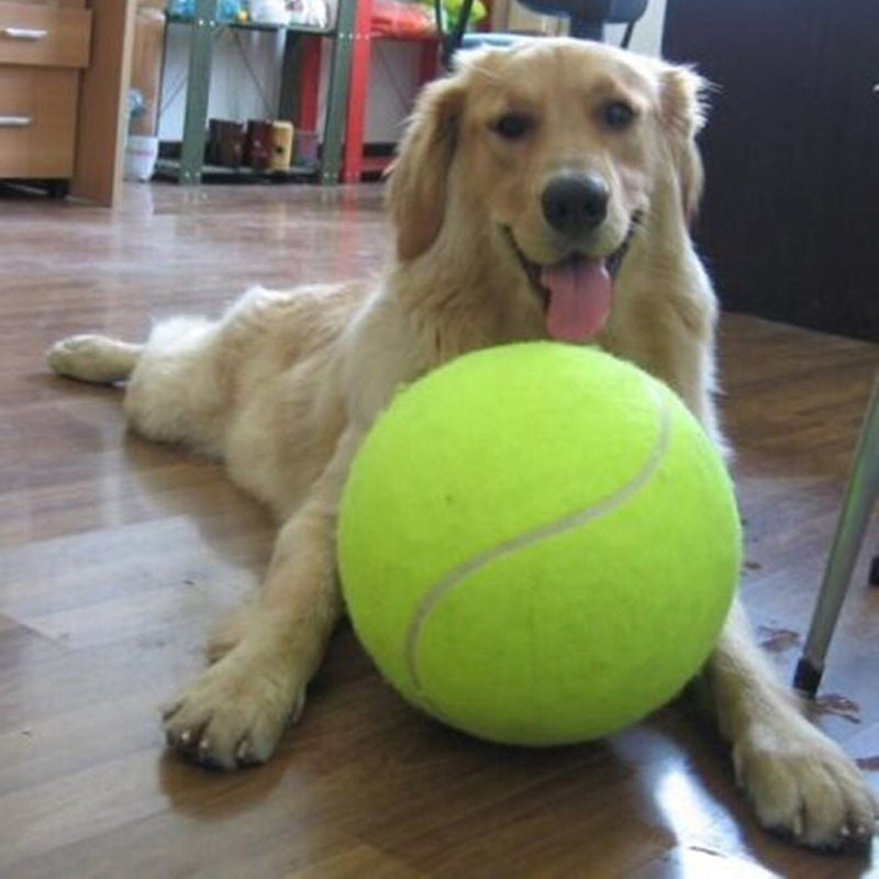 XXL tennisbal voor honden (24 cm)