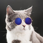 Kattenzonnebril