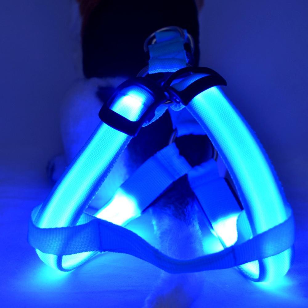 LED-hondentuigje Glow&Go