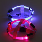 LED-hondentuigje Glow&Go
