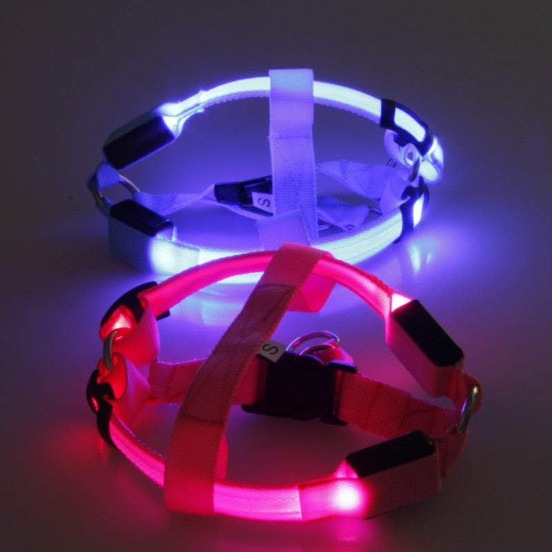 LED-hondentuigje Glow&Go