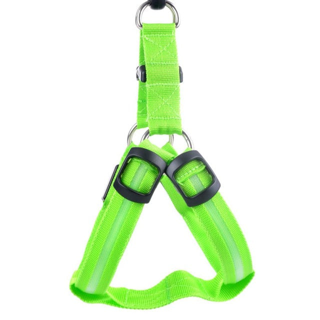 LED-hondentuigje Glow&Go