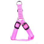 LED-hondentuigje Glow&Go