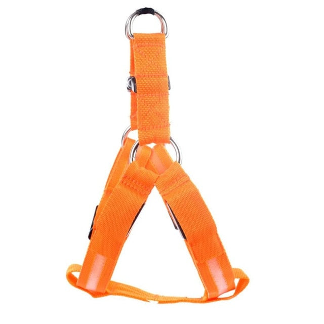 LED-hondentuigje Glow&Go
