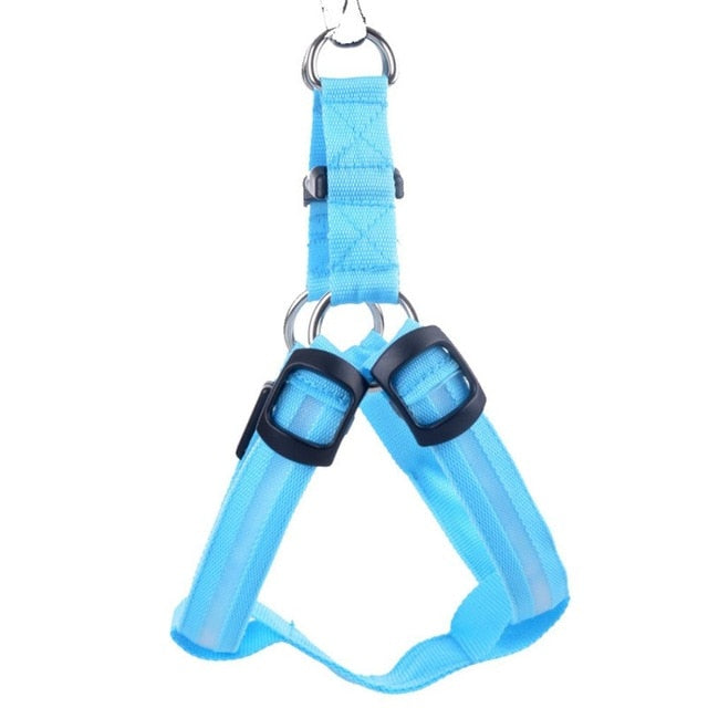 LED-hondentuigje Glow&Go