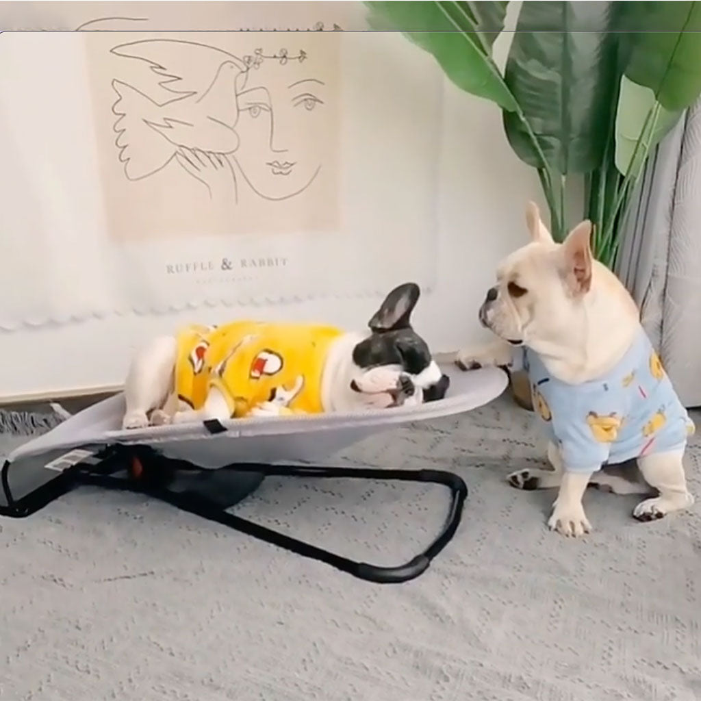 Schommelstoel voor honden