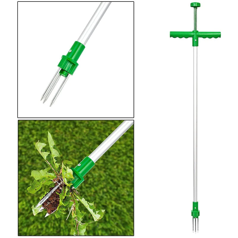 Wortelverwijderaar Root Killer