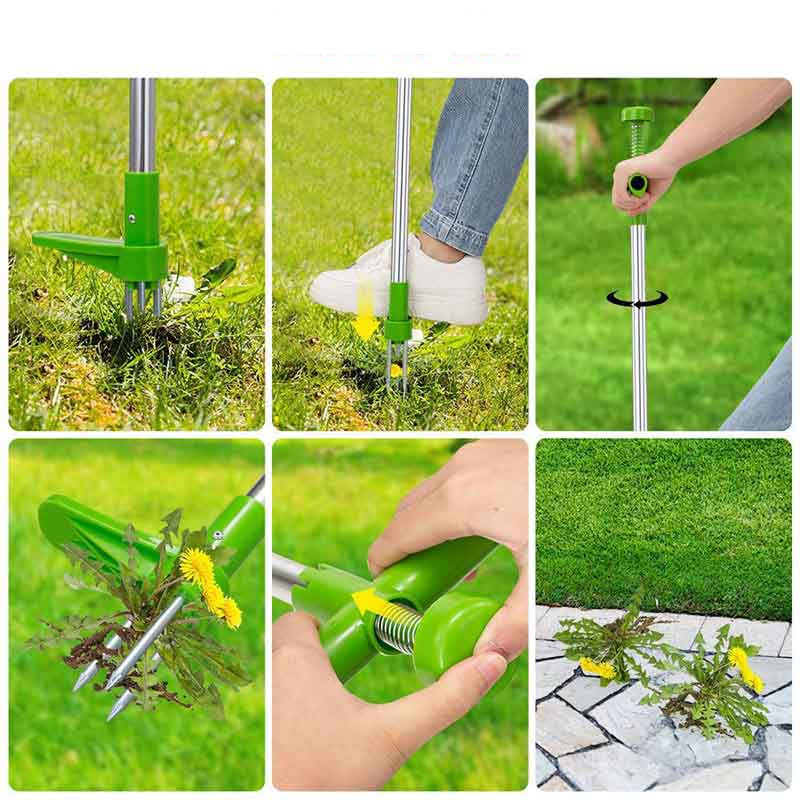 Wortelverwijderaar Root Killer
