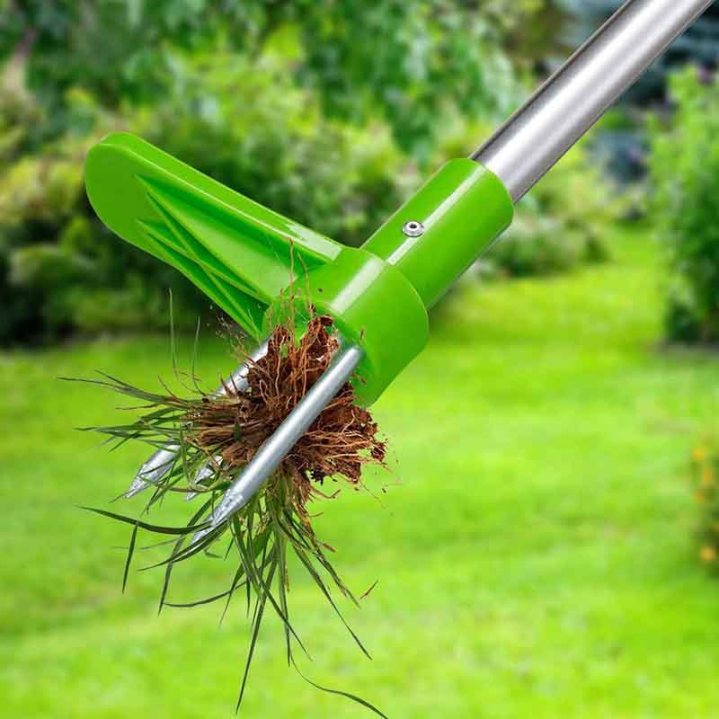 Wortelverwijderaar Root Killer