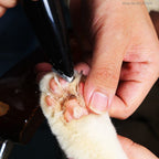 Mini-trimmer voor huisdieren SafeShave