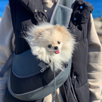 Pet transport schoudertas
