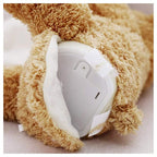 Zachte pluchen knuffel Teddy Cute — afbeelding 5
