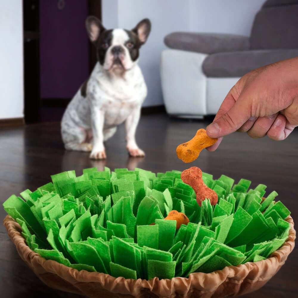 Hond snuffel mat