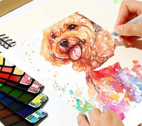 Schilderkit voor aquarel — afbeelding 11